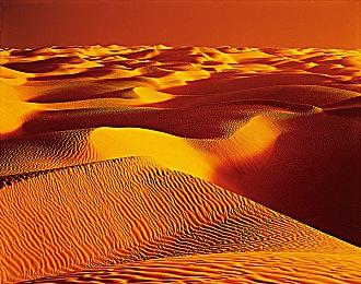 恐怖游戏《幻戏惊魂夜》：万圣节期间的生存大屠杀将于10.28上线